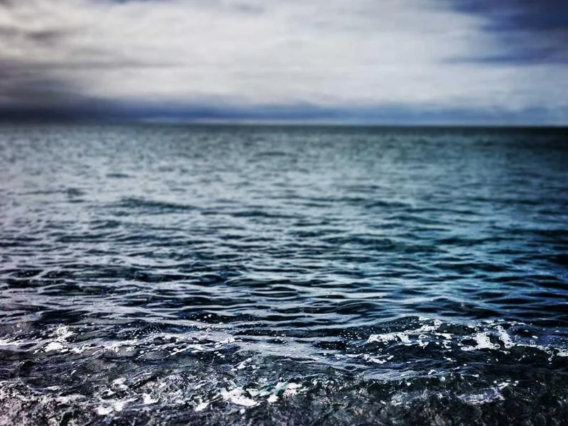 평택배수구막힘