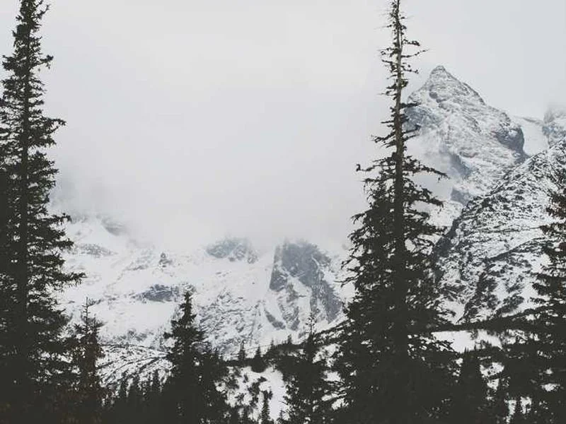 평택배수구막힘