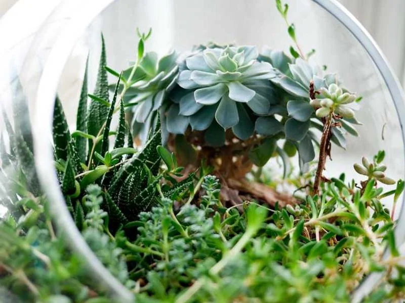 평택싱크대막힘