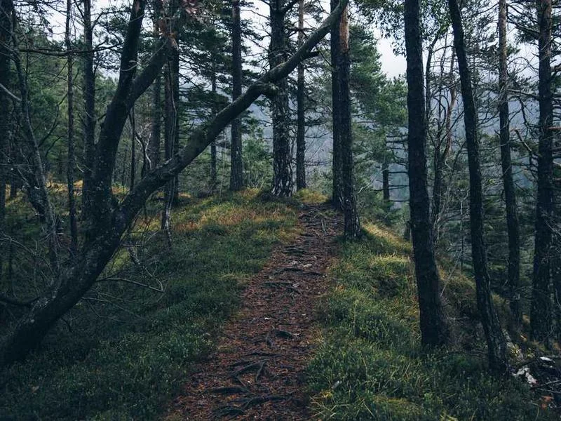 평택오수관막힘