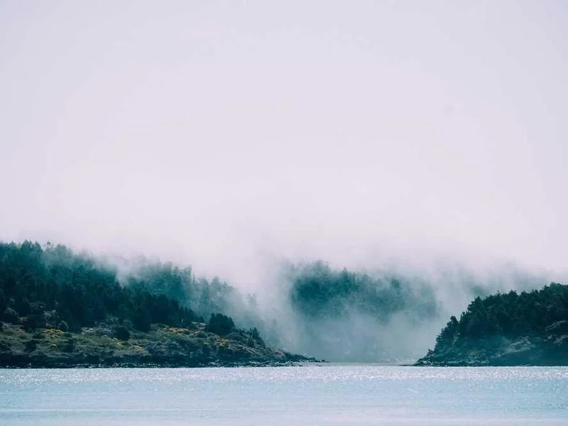 평택우수관막힘