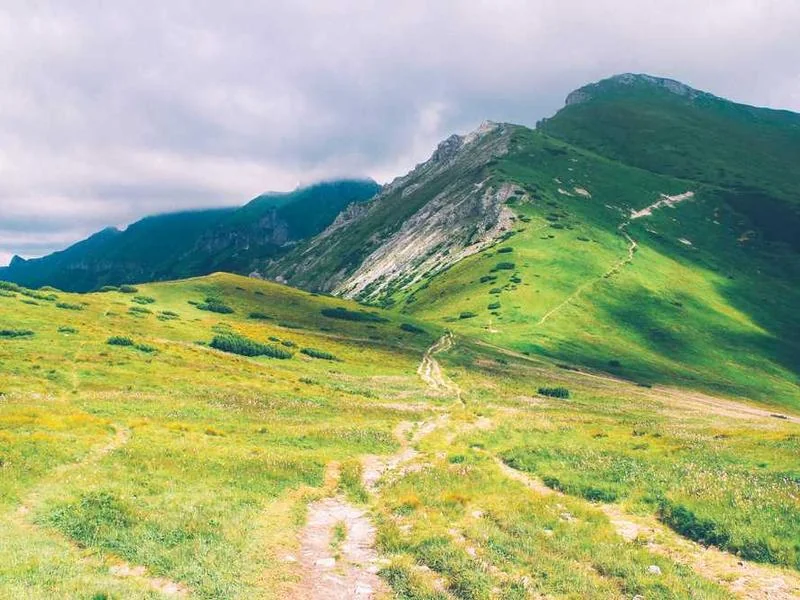 평택우수관막힘