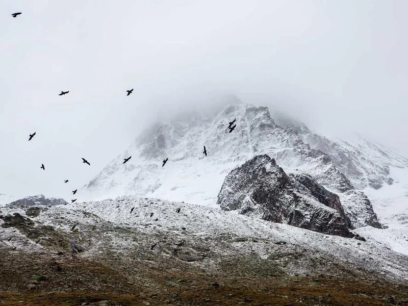 평택팽성하수구막힘