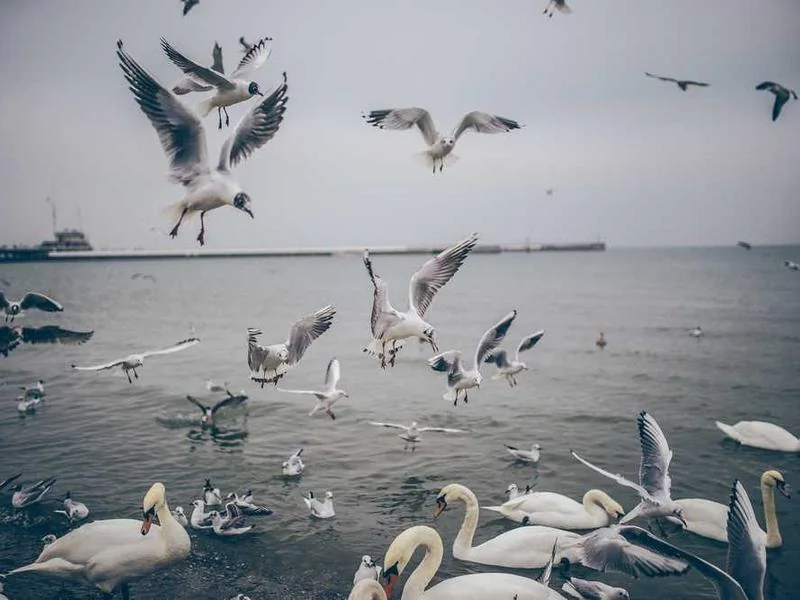 평택하수구뚫음