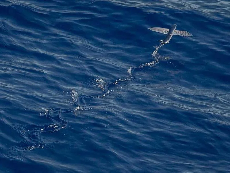 평택하수구막힘