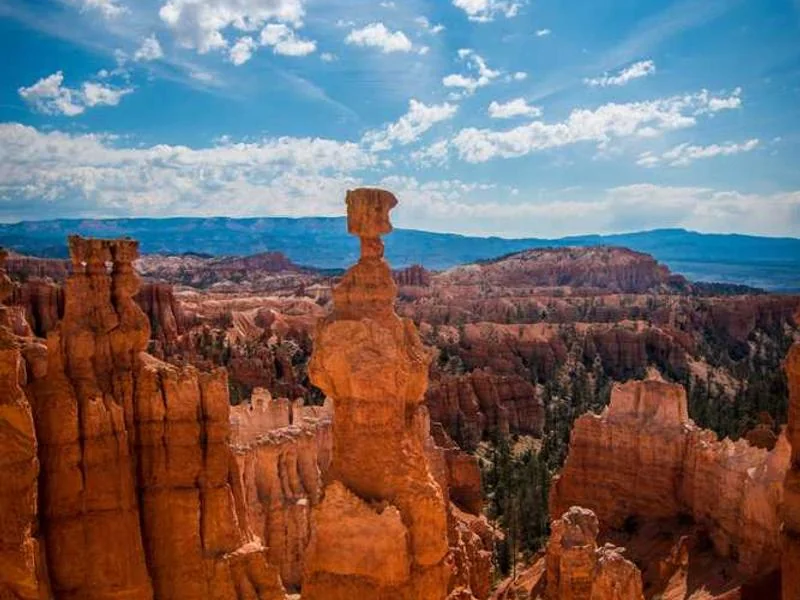 평택하수구막힘