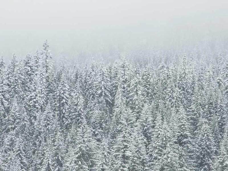 평택하수구역류