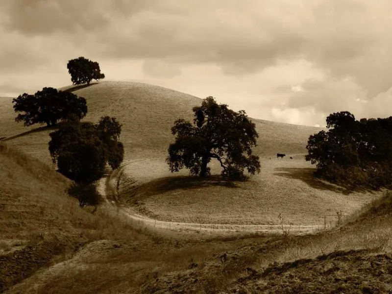 평택오수관막힘