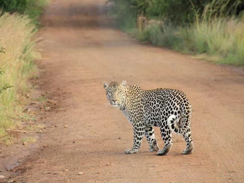 평택오수관막힘