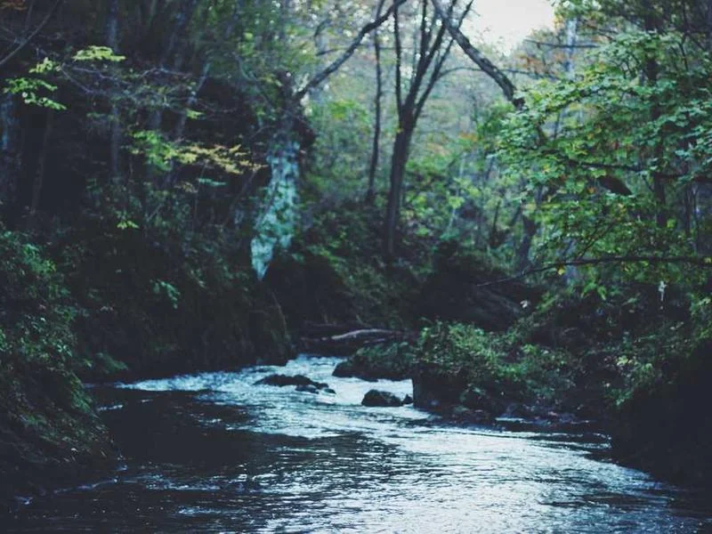 평택오수관막힘