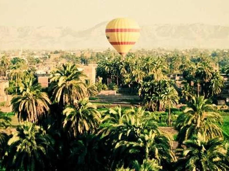 평택하수구막힘