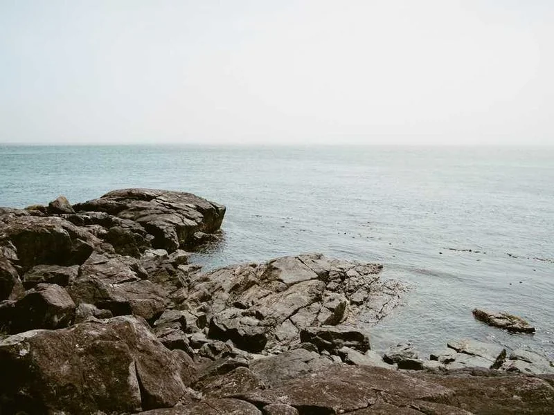 평택하수구막힘